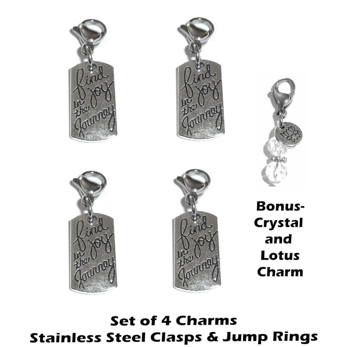 Clip on Charms