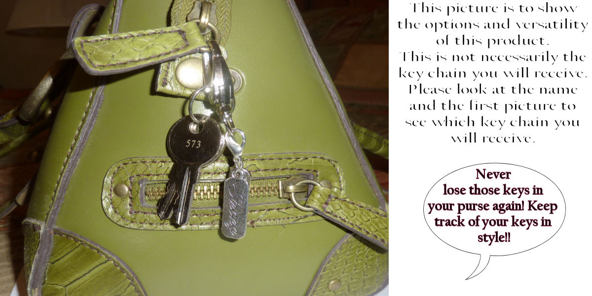 (February ) Birthstone Charm Key Chain Ring, Women's Purse or Necklace Charm, Comes in a Gift Box!