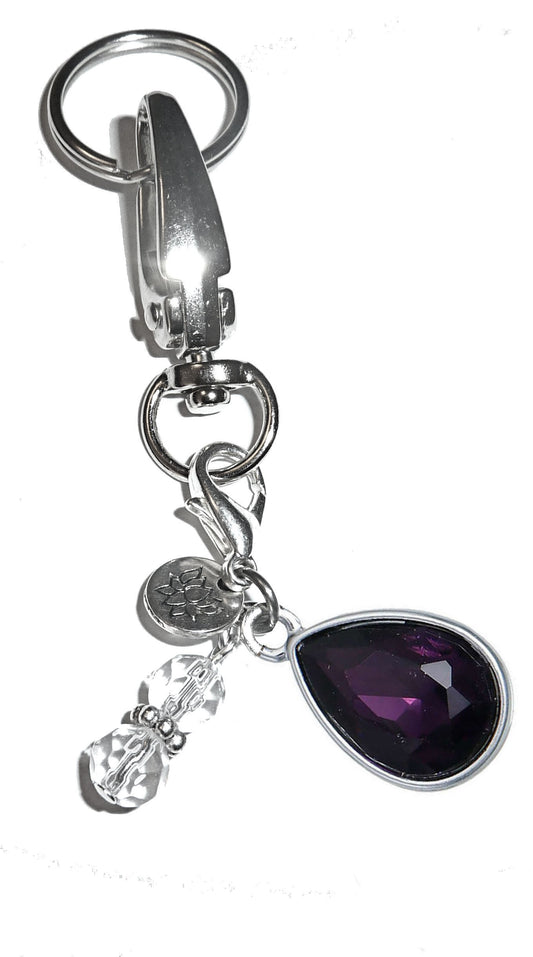 (February ) Birthstone Charm Key Chain Ring, Women's Purse or Necklace Charm, Comes in a Gift Box!